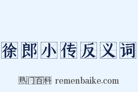 徐郎小传反义词是什么意思的图片